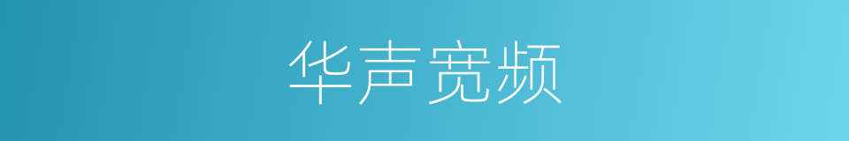 华声宽频的同义词