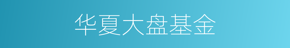 华夏大盘基金的同义词