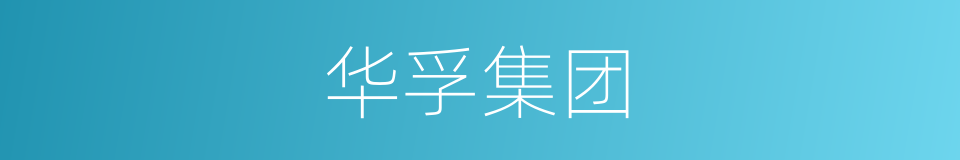 华孚集团的同义词