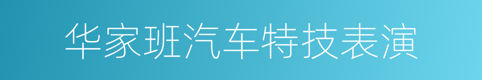 华家班汽车特技表演的同义词