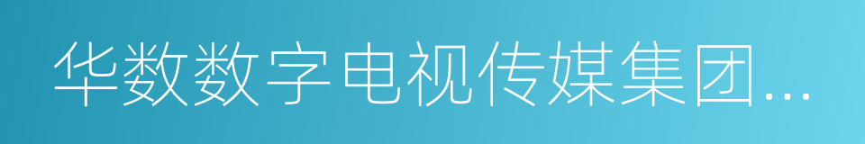 华数数字电视传媒集团有限公司的同义词