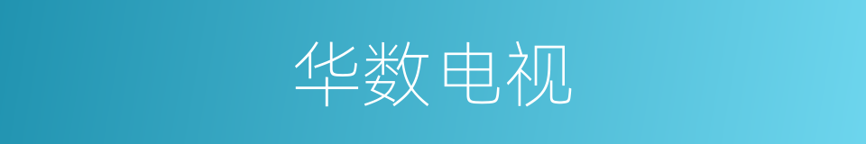 华数电视的同义词
