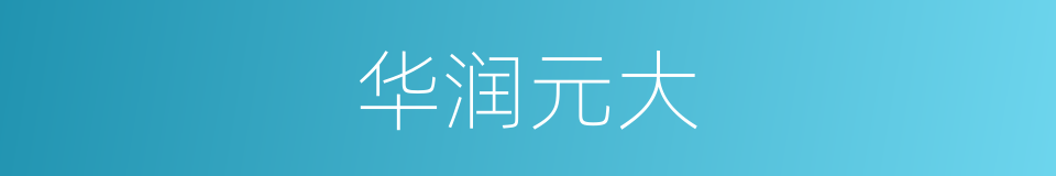 华润元大的同义词