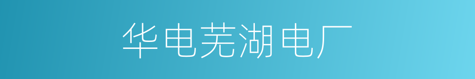 华电芜湖电厂的同义词