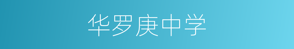 华罗庚中学的同义词