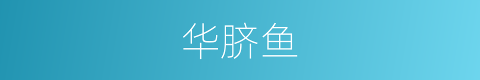 华脐鱼的同义词