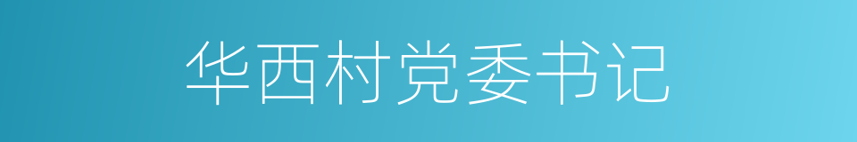 华西村党委书记的同义词