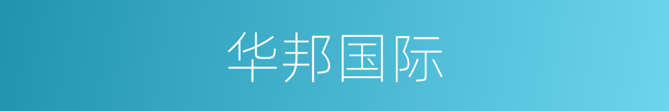 华邦国际的同义词