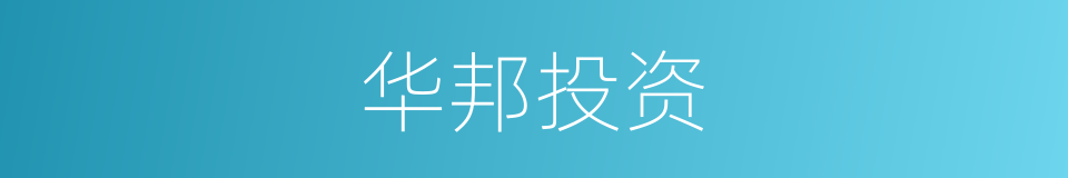 华邦投资的同义词