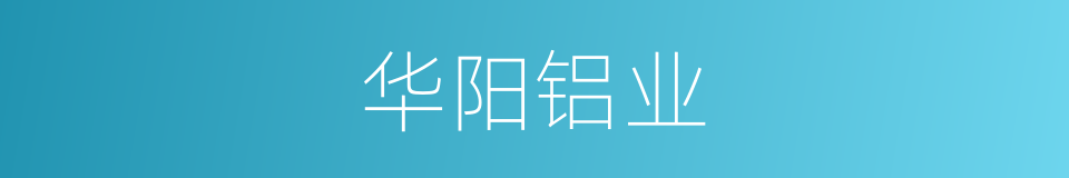 华阳铝业的同义词