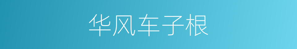 华风车子根的同义词