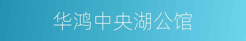 华鸿中央湖公馆的同义词