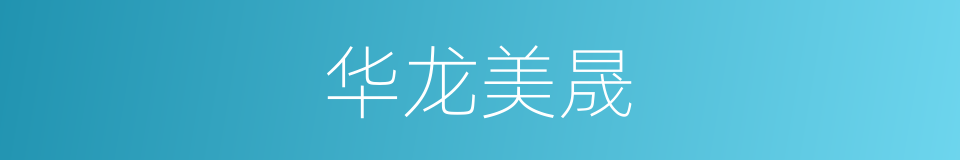 华龙美晟的同义词