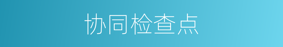 协同检查点的同义词