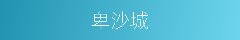 卑沙城的同义词