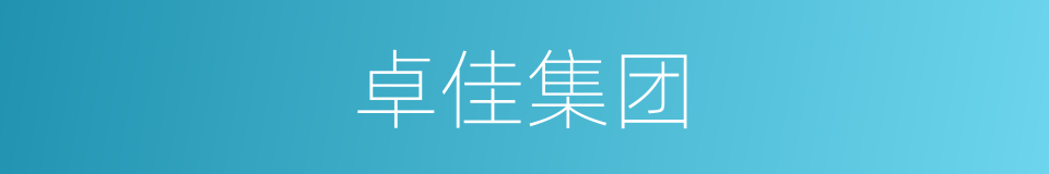 卓佳集团的同义词