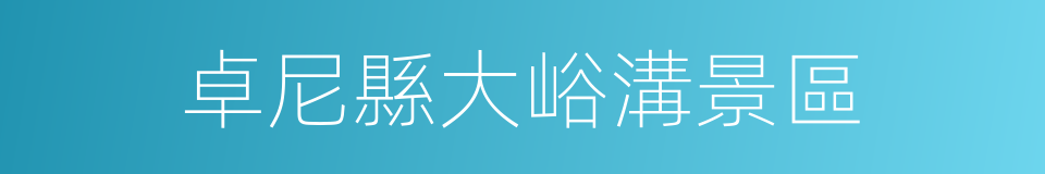 卓尼縣大峪溝景區的同義詞