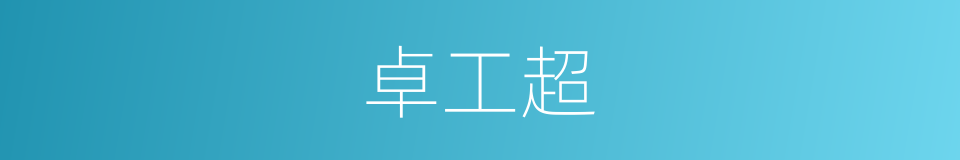 卓工超的同义词