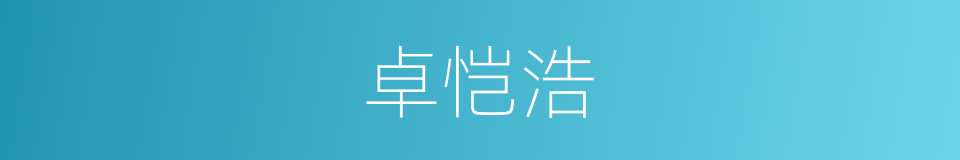 卓恺浩的同义词
