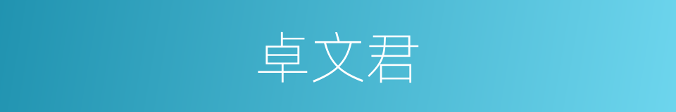 卓文君的意思