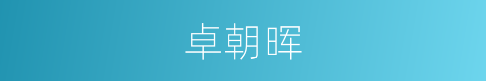 卓朝晖的同义词