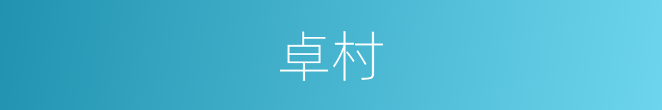 卓村的同义词