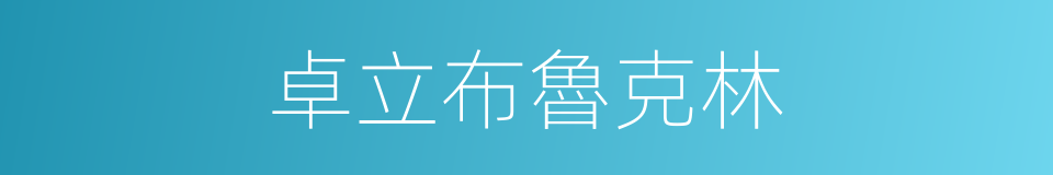 卓立布魯克林的同義詞