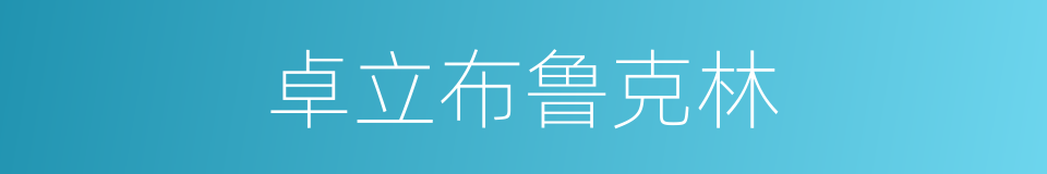 卓立布鲁克林的同义词