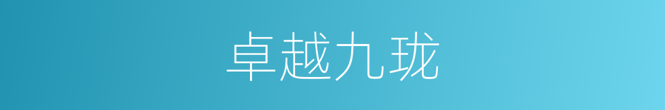 卓越九珑的同义词