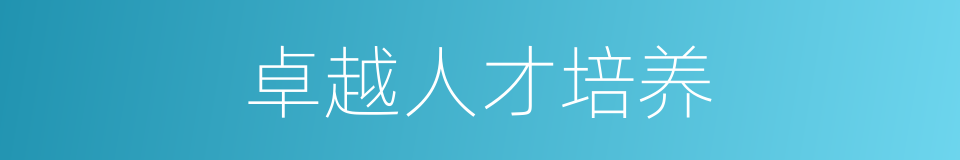 卓越人才培养的同义词