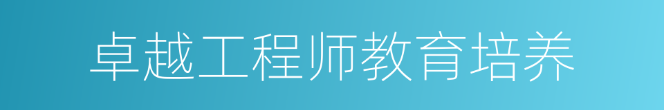 卓越工程师教育培养的同义词