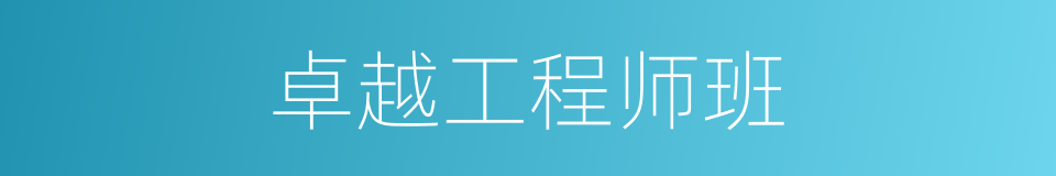 卓越工程师班的同义词