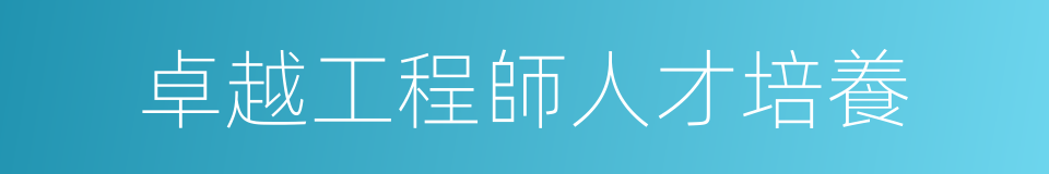 卓越工程師人才培養的同義詞