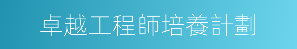 卓越工程師培養計劃的同義詞