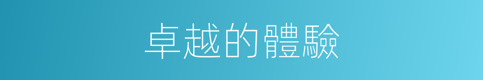 卓越的體驗的同義詞