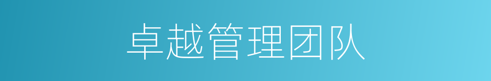 卓越管理团队的同义词