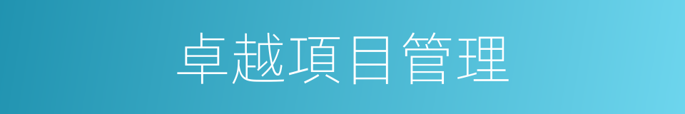 卓越項目管理的同義詞