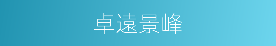 卓遠景峰的同義詞