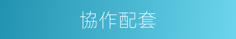 協作配套的同義詞