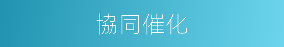 協同催化的同義詞