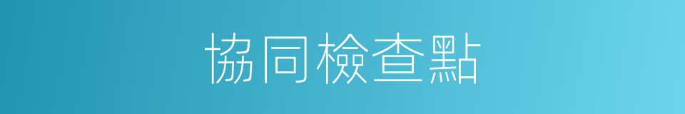 協同檢查點的同義詞