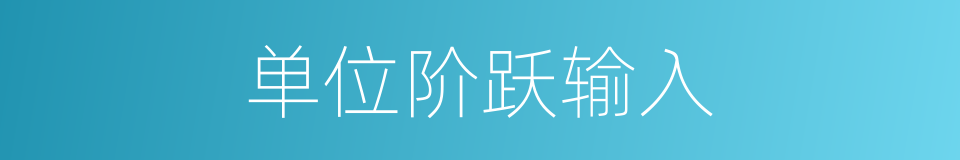 单位阶跃输入的同义词