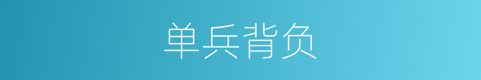 单兵背负的同义词