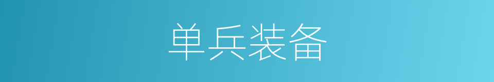 单兵装备的同义词