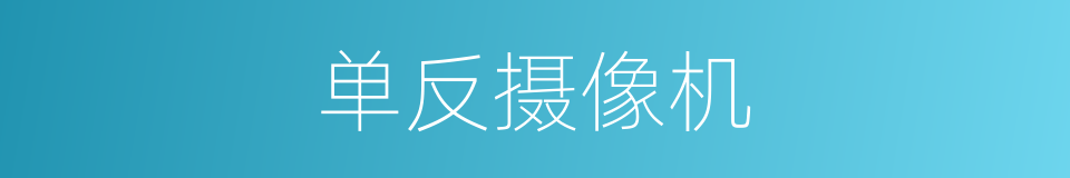 单反摄像机的同义词