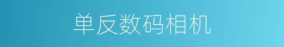 单反数码相机的同义词