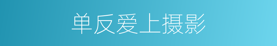 单反爱上摄影的同义词