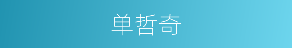 单哲奇的同义词