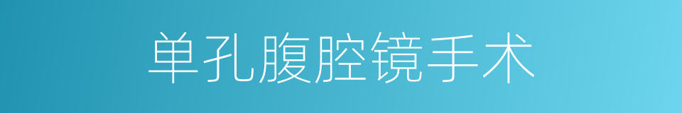 单孔腹腔镜手术的同义词