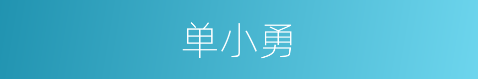 单小勇的同义词